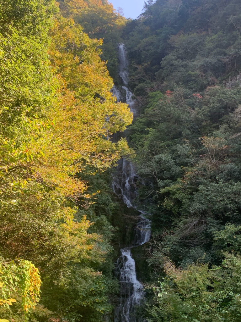 紅葉と滝