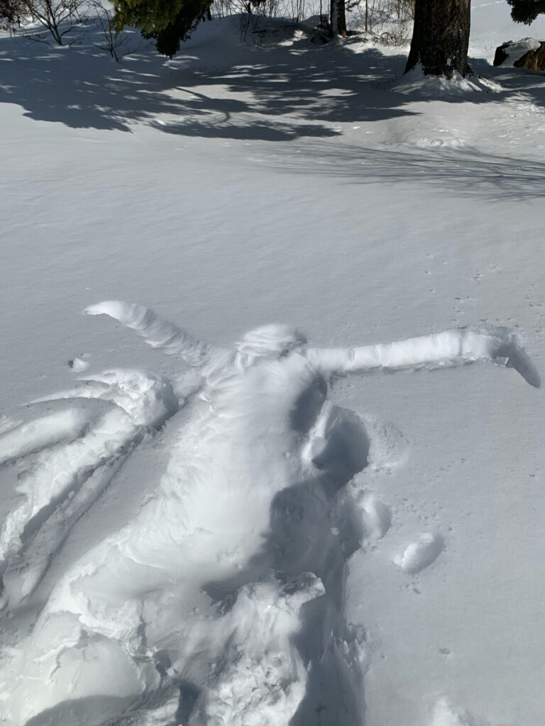 雪にダイブ！